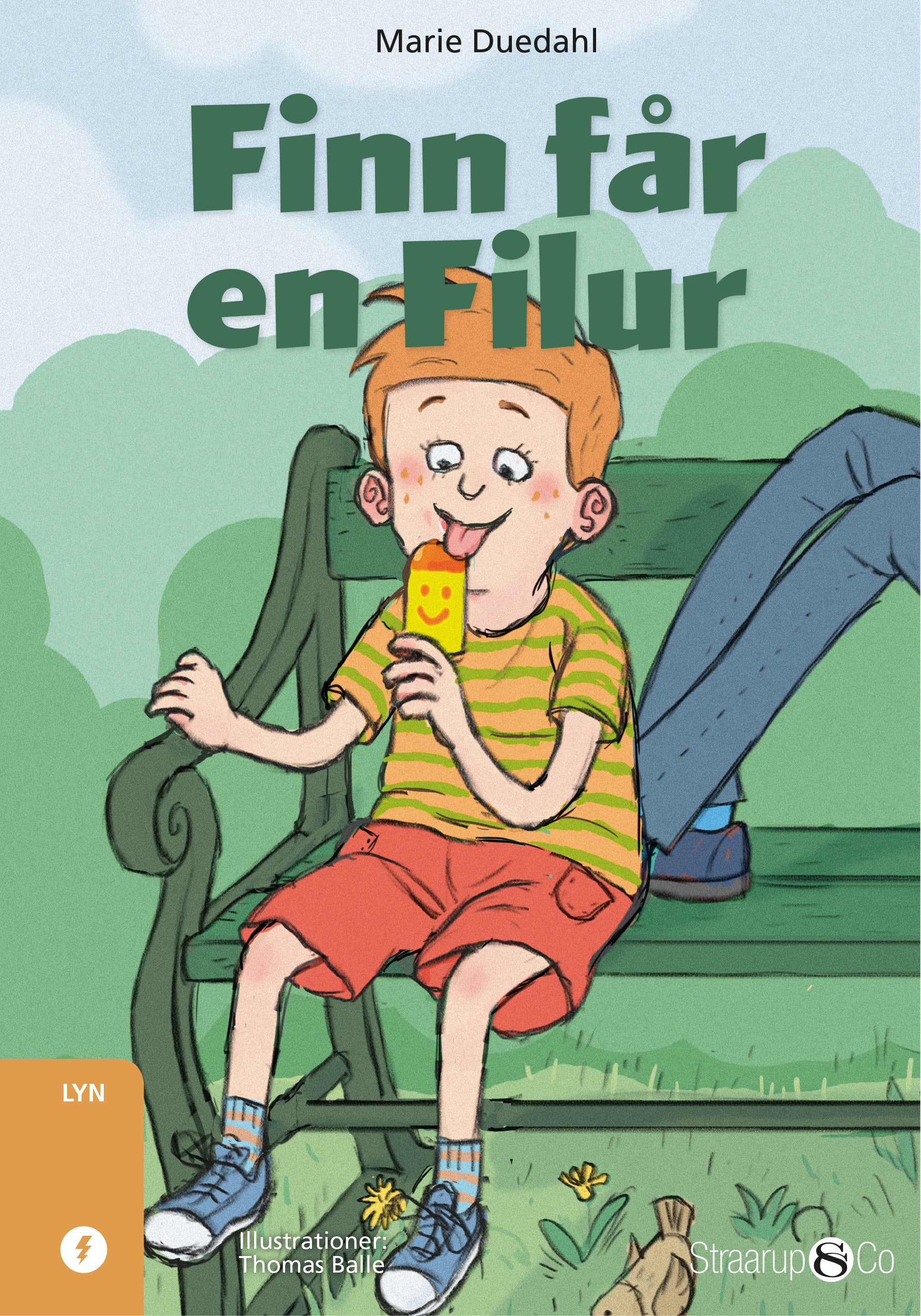 Forside billede